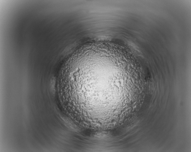 X0000074970550200609152125