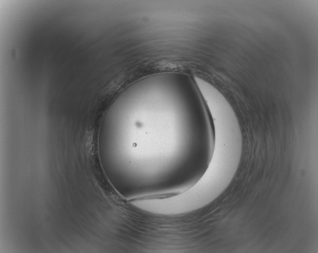 X0000074970560200609152125