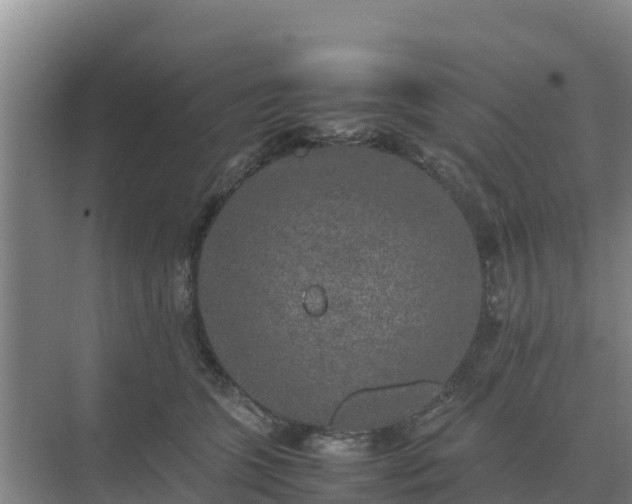 X0000074970563200609152125