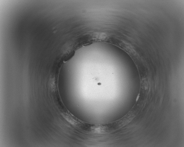 X0000074970564200609152125