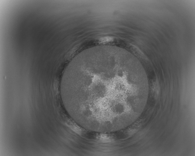 X0000074970565200609152125