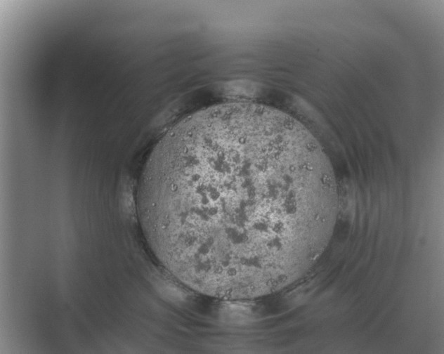 X0000074970573200609152125