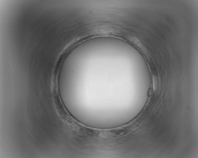 X0000074970579200609152125