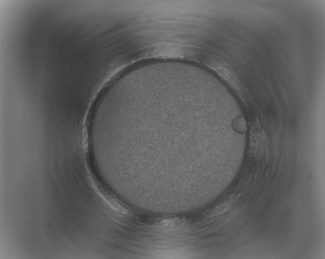 X0000074970584200609152125