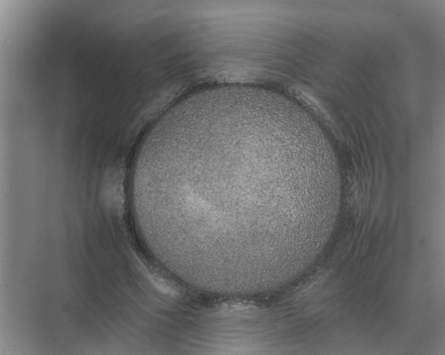 X0000074970586200609152125