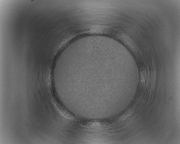 X0000074970588200609152125