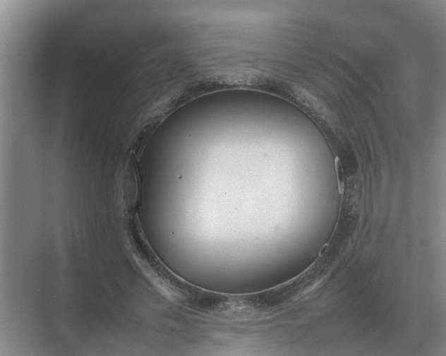 X0000074970589200609152124