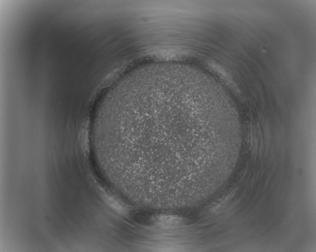 X0000074970590200609152124