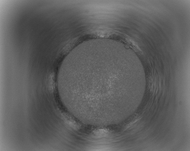 X0000074970594200609152124