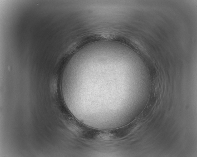 X0000074970595200609152124