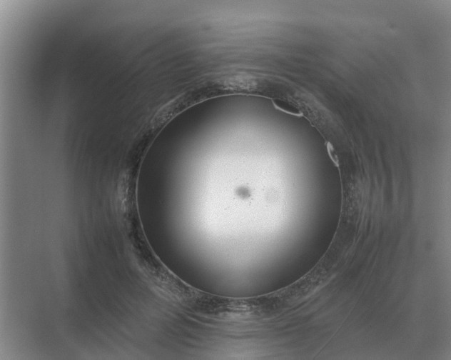 X0000074970600200609152124