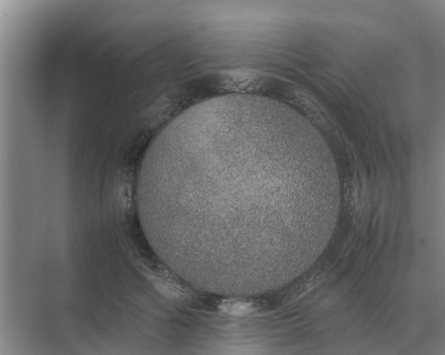 X0000074970602200609152124