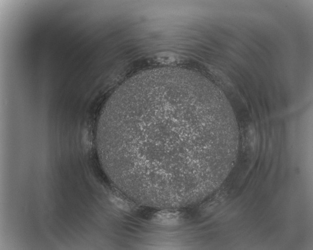 X0000074970606200609152124