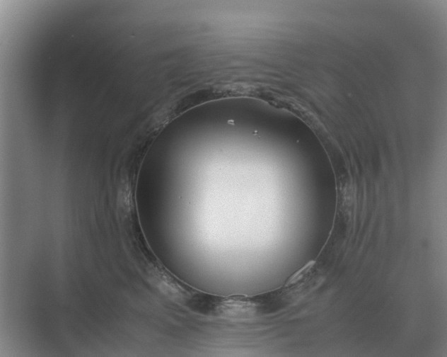 X0000074970617200609152124