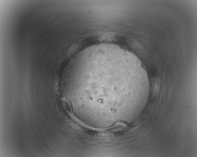 X0000074970619200609152124