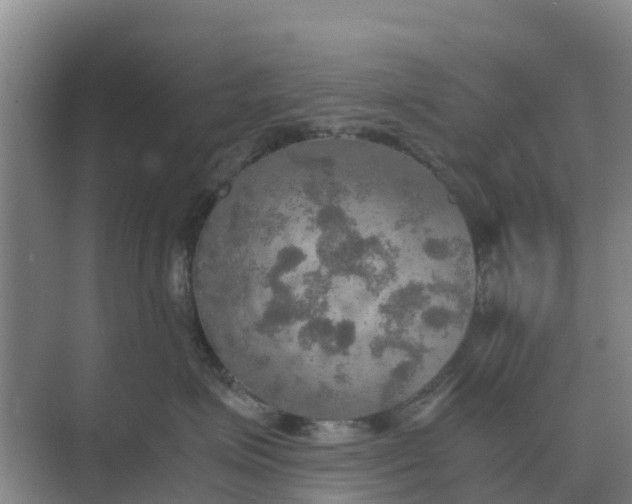 X0000074970623200609152124