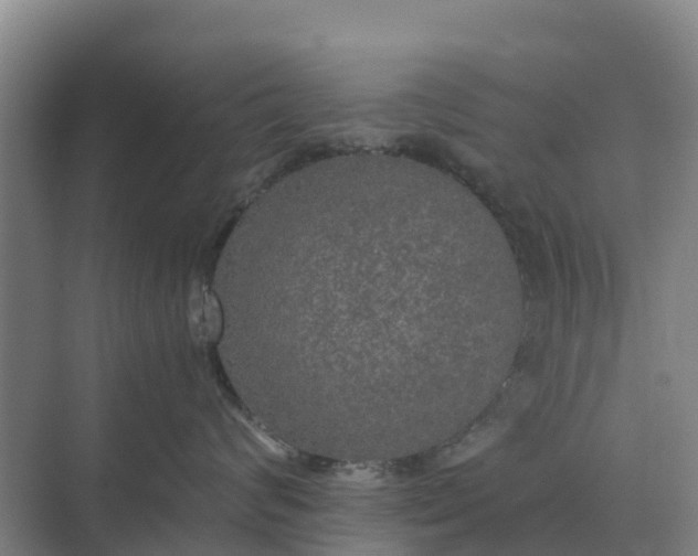 X0000074970624200609152124