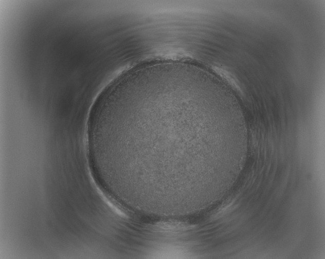 X0000074970630200609152123