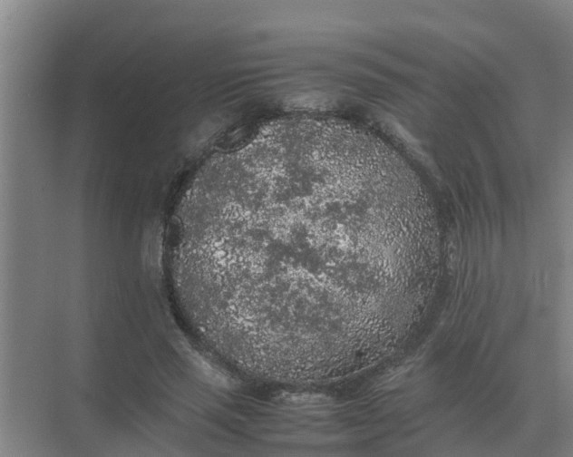 X0000074970637200609152123