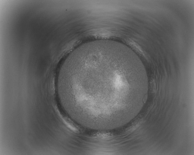 X0000074970638200609152123