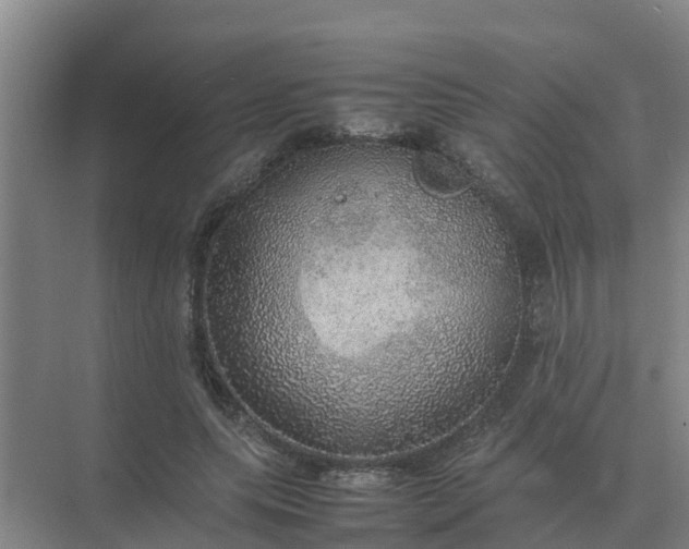 X0000074970639200609152123