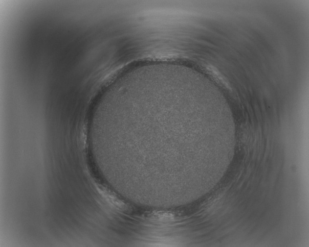 X0000074970640200609152123