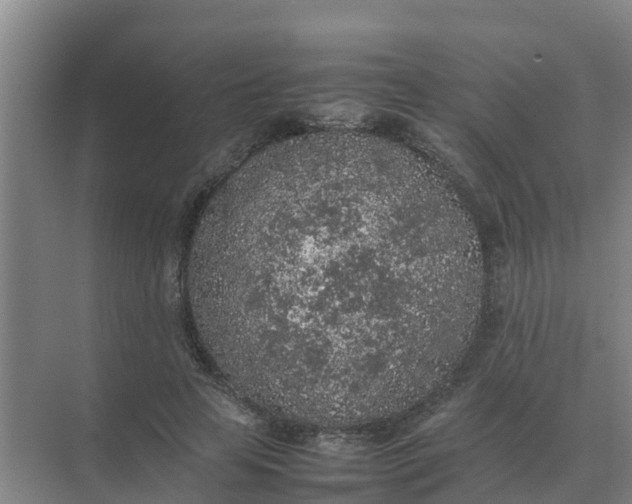 X0000074970641200609152123