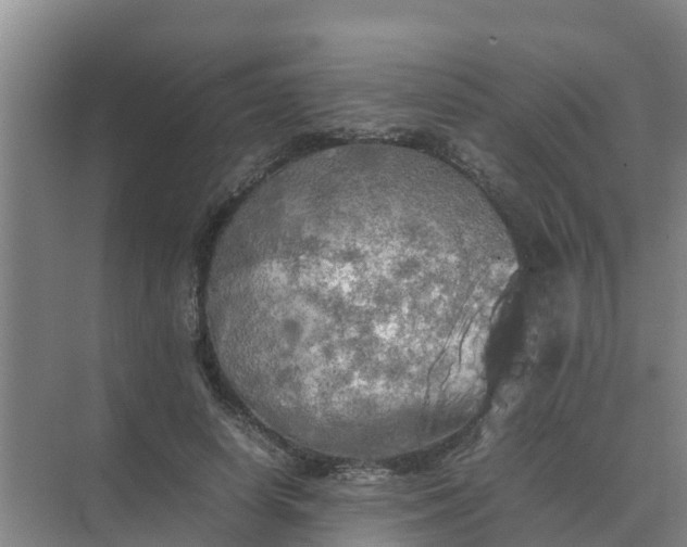 X0000074970642200609152123