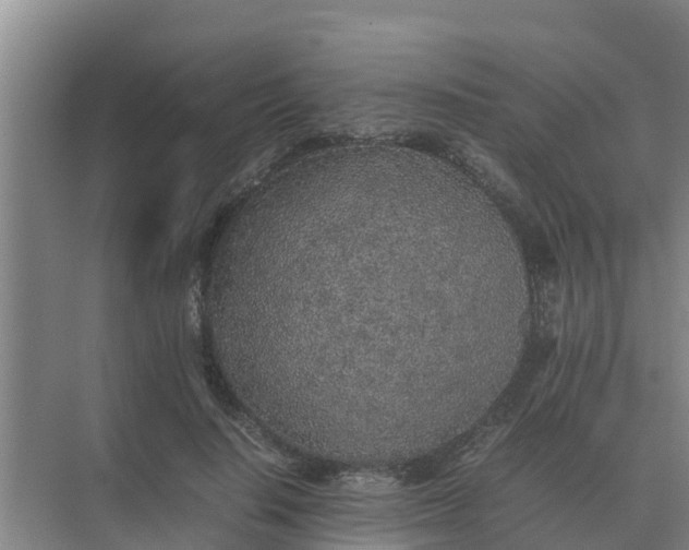 X0000074970644200609152123