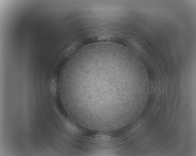 X0000074970648200609152123