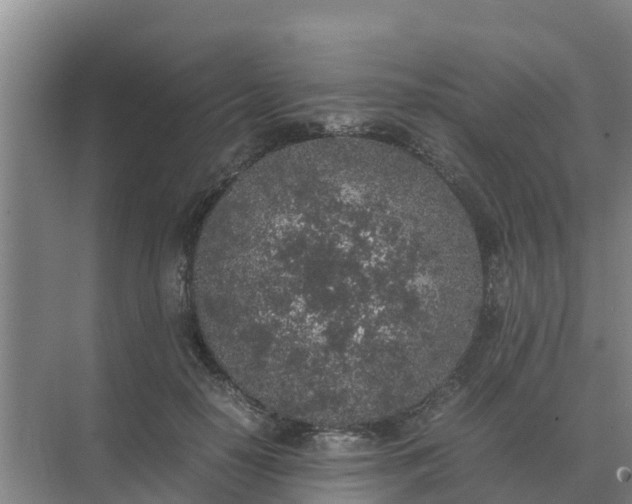 X0000074970650200609152124