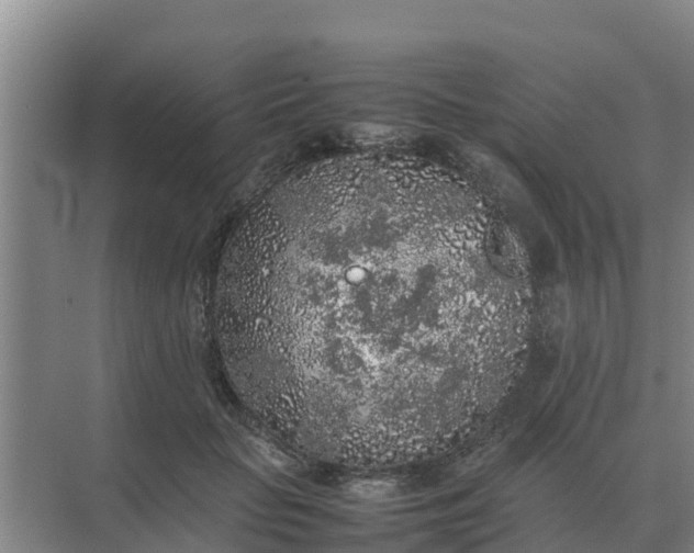 X0000074970653200609152124