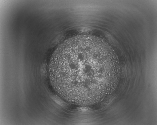 X0000074970654200609152124