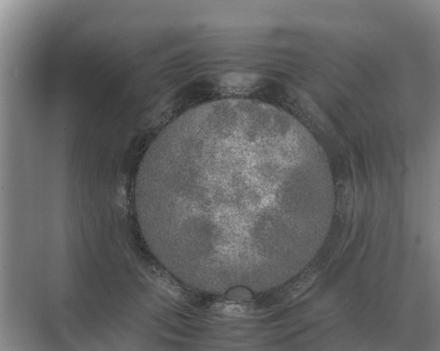 X0000074970655200609152124