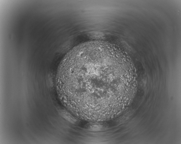 X0000074970658200609152124