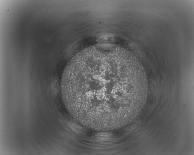 X0000074970659200609152124