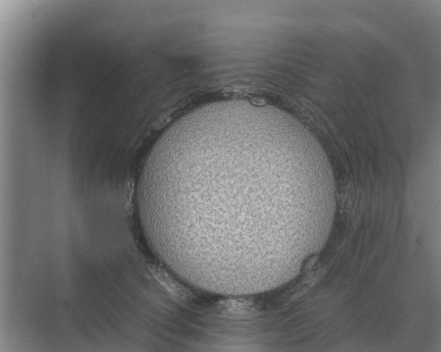 X0000074970660200609152124