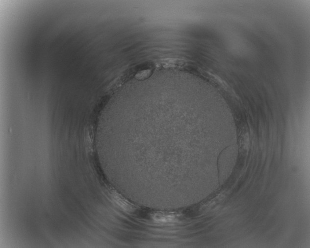 X0000074970661200609152124