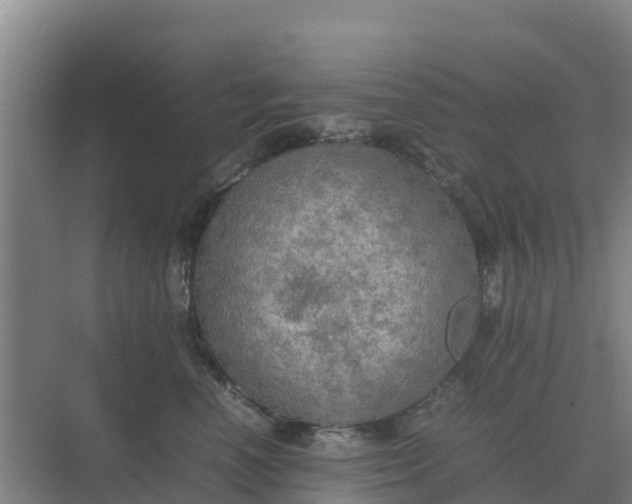 X0000074970666200609152124