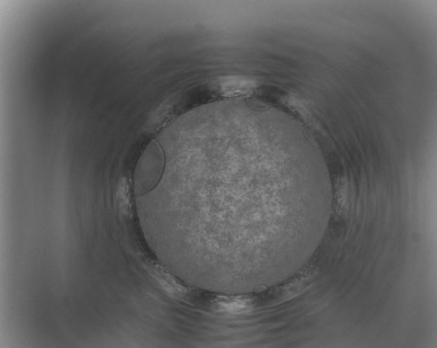 X0000074970667200609152124