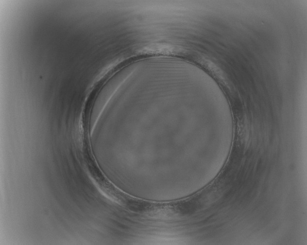 X0000074970674200609152123