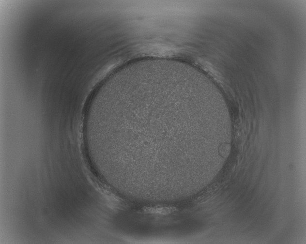 X0000074970679200609152123