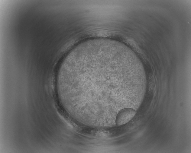 X0000074970683200609152123