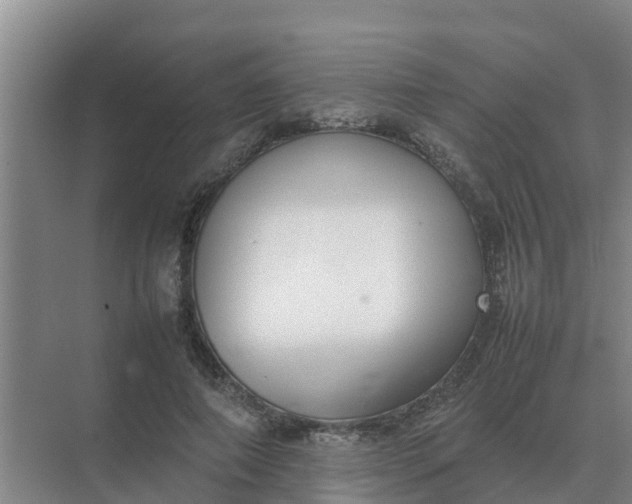 X0000074970690200609152123