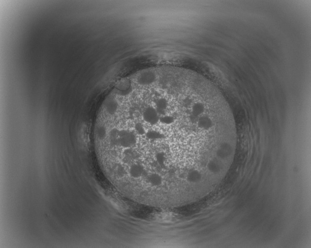 X0000074970695200609152123