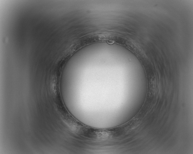 X0000074970698200609152123