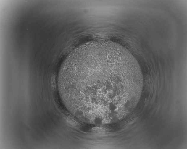 X0000074970699200609152123