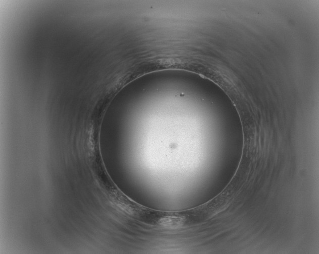 X0000074970700200609152123