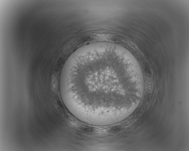 X0000074970701200609152123