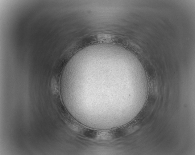 X0000074970705200609152123